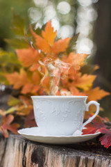 cup of hot soaring coffee on a dry stump on a background of autumn foliage