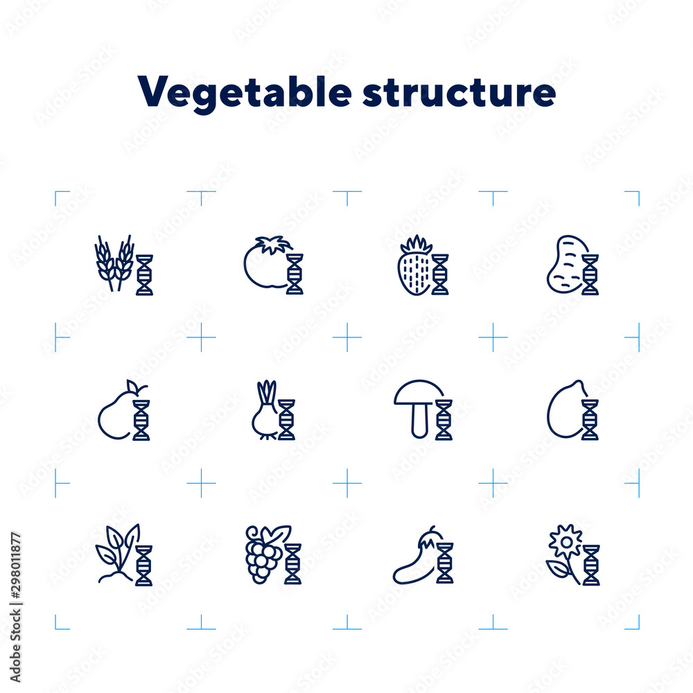 Poster vegetable structure line icon set. set of line icons on white background. dna structure, pear, mushr