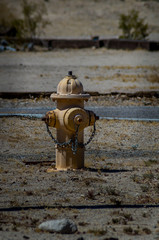 Water hydrant in the desert