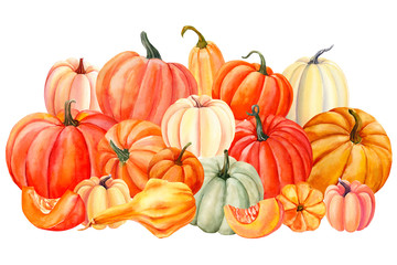 autumn illusautumn set of pumpkins on an isolated white background, watercolor painting, hand drawingtration, pumpkin on an isolated white background, watercolor drawing