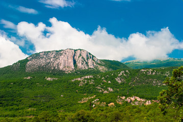 Fototapeta premium Mountains against the blue sky with clouds. Mountains with forest.