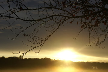 Lever de soleil, ros&eacute;e et fils d'araign&eacute;e