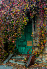 Fototapeta na wymiar Wooden closed door of an old abandoned house 