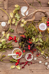 Halloween concept background. Witch bowler, mistletoe, elderberry. Dry herbs, flowers, fresh berries