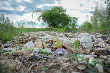 A lot of rubbish on the roadside near a forest with green trees in the background.garbage
