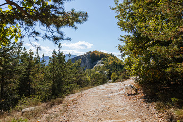 Panoramic view landscape from mountain, Bulgaria
