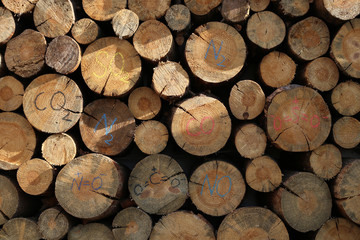 Fototapeta premium Chunks of pine firewood, in storage, with colored inscriptions of the formulas of gases, products of the combustion of firewood.