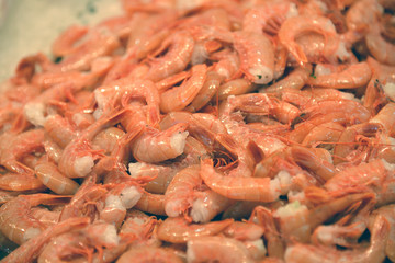 Fresh sea shrimps
