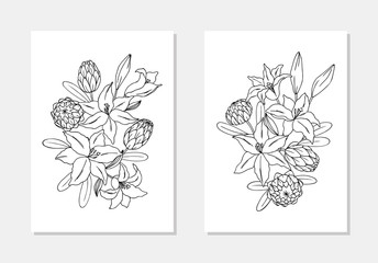 vector exotic tropic flower protea rose bouquet colorng book outline contour composition