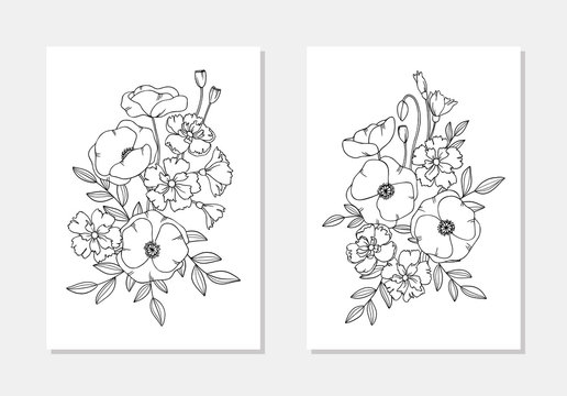 Vector Poppy Cornflower Wild Field Flower Bouquets Coloring Book Outline Illustration