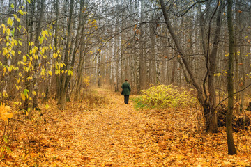 A lonely woman walks along a path in the autumn forest. The concept of nostalgic mood.