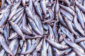 Heap of fresh fish as background