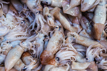 Squid in a fish market as background