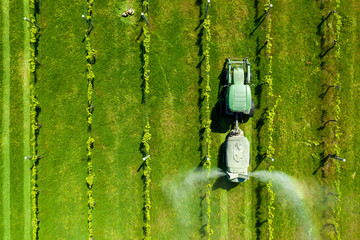 Vineyard Spraying