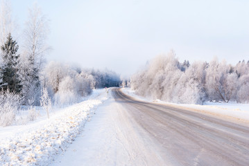 Obraz premium Russia. Winter. Forest in the fog.