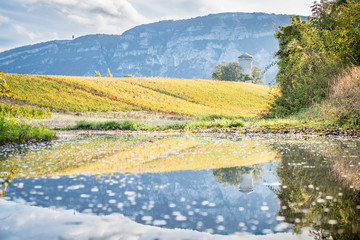 Fototapeta na wymiar Château d'eau de Bardonnex en Suisse durant l'automne