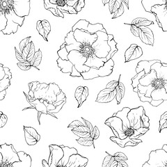 White and black seamless pattern with contour flowers wild rose and leaves. Monochrome floral background for textile, wallpapers, print, wrapping paper, greeting. Vector.