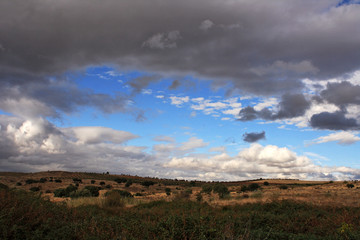 Bucolic image, countryside landscape