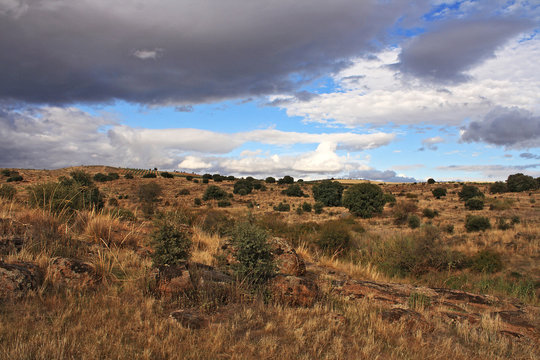 Bucolic image, countryside landscape