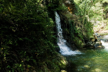 Fototapeta na wymiar Fiume e cascata di acqua nel bosco sul sentiero delle meraviglie, Canton Ticino 
