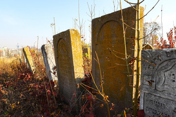 An old cluttered Jewish cemetery with uneven tombstones carved in Hebrew is a preserved story.