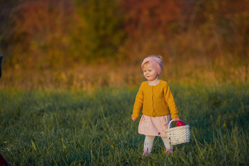 Little cute girl walks in the autumn garden, holds a basket with red apples. Portrait of a happy girl in bright, autumn clothes. Warm and bright autumn.