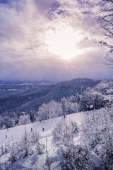 Fototapeta na wymiar Active holidays of skiers in Carpathian mountains