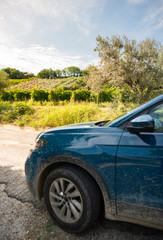 Fototapeta na wymiar Tourist car in vineyards. Rural tourism concept with car and wine grapes on background.