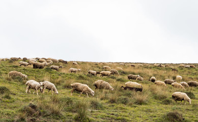 Obraz premium Rural mountain landscape