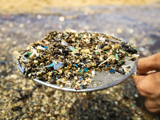Microplastics are very small pieces of plastic that pollute the environment.