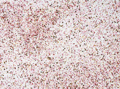 Texture of lacquer with pearl violet sparkles on a white background