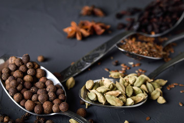 Various spices spoons on stone table.On dark concrete background.Herbs and spices on wooden table.  Top view with space for your text
