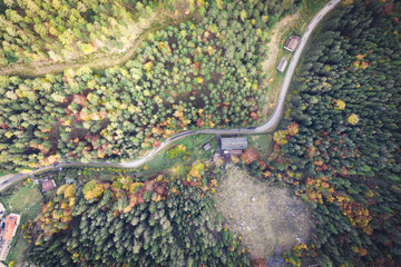 Road in the autumn forest aerial view