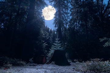 A romantic place in the middle of the night in a german forest at full moon. In the foreground a sawn tree with stump in bluish moonlight.