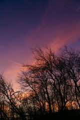 Fototapeta na wymiar Beautiful colorful sunset above the dark autumn trees silhouettes