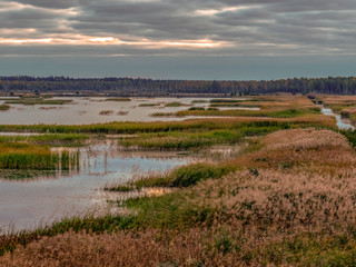 autumn landscape with overgrown lake, dry reeds, cloudy skies