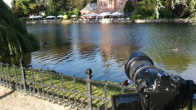 Bruges, Flanders, Belgium, August 2019. Filming with the reflex the Minnewater, also called Lake of love: the castle, used as a restaurant, is reflected on the water. Trees are a green frame. 30fps