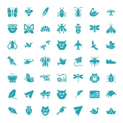 Fototapeta premium wing icons