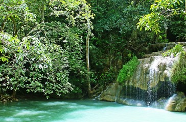 Bosque tropical en las cascadas de Erawan, Kanchanaburi, Tailandia.