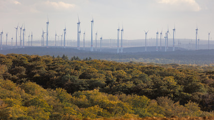 Obraz premium Many wind turbines in a wind park in the distance in a rural area in Germany. In the foreground a forest. The evening sun is shining, but the sky is cloudy.