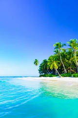 Foto op Plexiglas prachtig caribisch landschap met palmboom op het strand © dbrus
