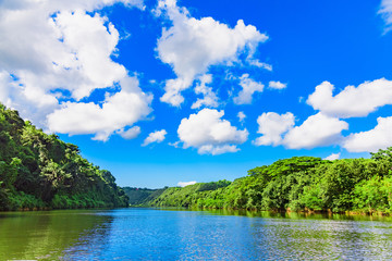 Obraz na płótnie Canvas Chevon River Dominican Republic