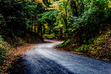 Obraz premium beautiful winding road in autumn 