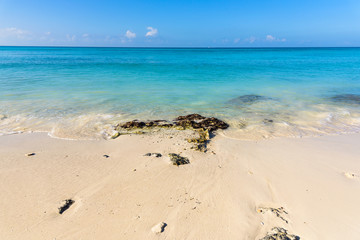 Fototapeta na wymiar beautiful seascape of the caribbean