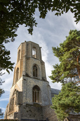 Fototapeta na wymiar Wymondham abbey church ruins. Benedictine monastery historic English achitecture