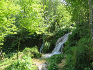 Mountain Tara nature landscape in summer waterfall in forest