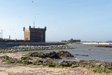 Marokko - Essaouira - Castello Real