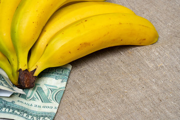 Bananas and money. The concept of a balanced healthy diet cost of yellow ripe bananas on dollars paper money banknotes