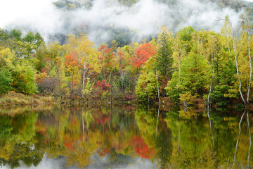 まいめの池の紅葉