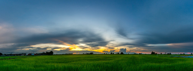 Panorama beautiful Sunset with dramatic sky clouds.Sunrise with cloud over Green rice field  Sisaket province Thailand Asia.